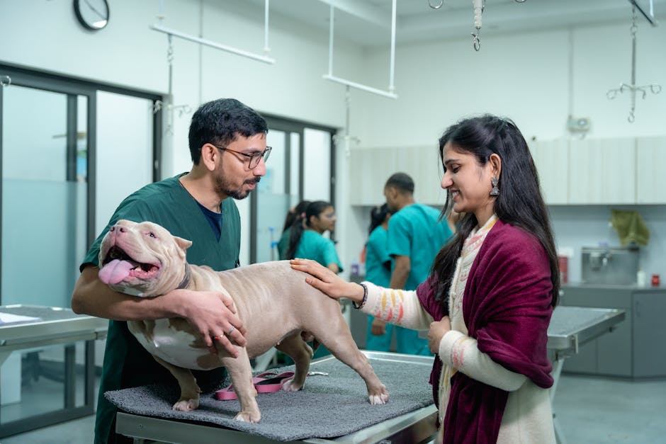 Pet insurance for dogs claim review: a calm veterinarian examining a healthy adult dog on the exam table in a modern clinic, the kind of routine wellness visit that most pet insurance for dogs accident-and-illness plans do not reimburse without a separate wellness add-on