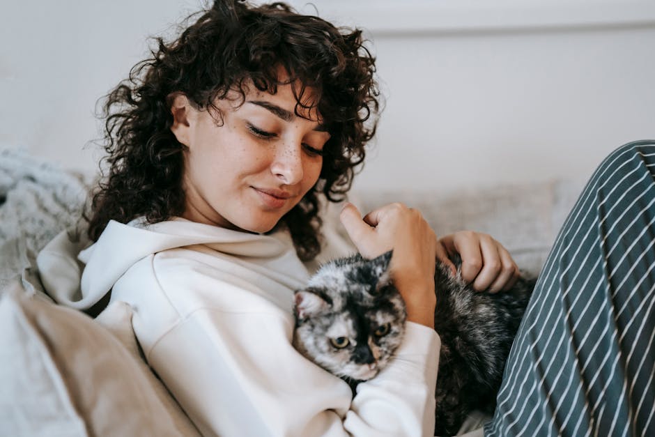 Pet insurance for senior cats household routine: an older woman gently petting a calm senior cat on her lap in a warm sunlit living room, the kind of household setting where pet insurance for senior cats decisions get reviewed thoughtfully alongside the cat's full medical record