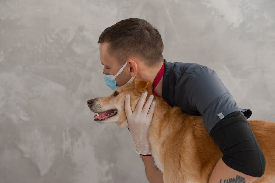 Pet insurance wellness plans context: a caring veterinarian giving a calm dog a gentle embrace during a wellness exam in a bright clinic, the kind of routine preventive visit that pet insurance wellness plans bundle into a monthly add-on rather than a traditional risk-pooled insurance benefit