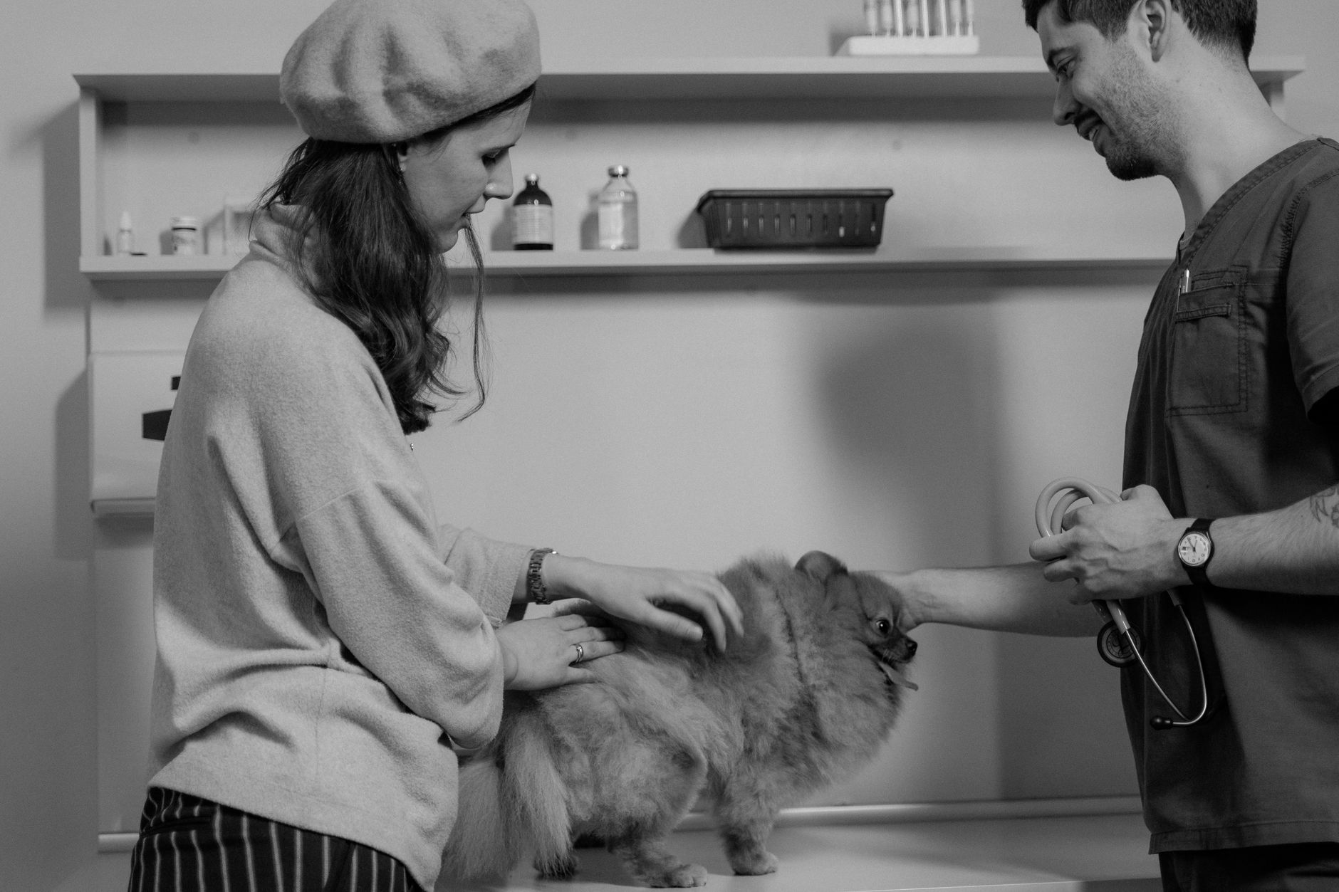 Veterinarian examining a dog while an owner watches, illustrating whether pet insurance covers cancer
